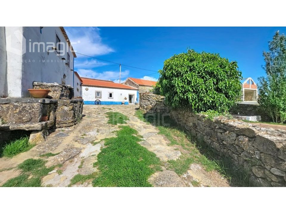 Farm i Mafra, Lisbon - foto 4