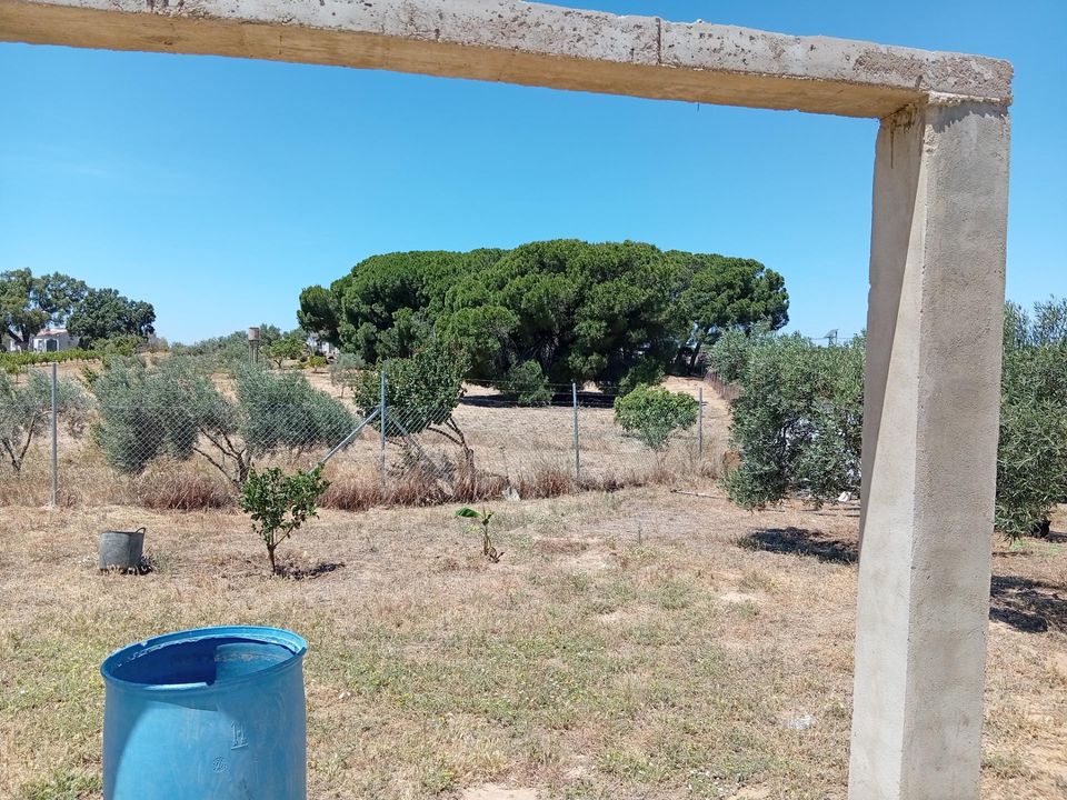 Herregård i Villablanca, Huelva - bilde 4