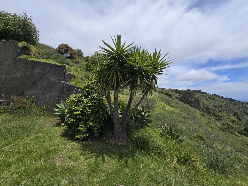 Helårsgrund i Calheta, Madeira - foto 5
