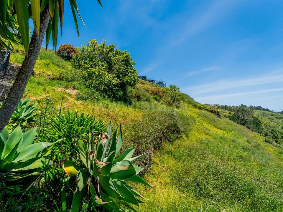Helårsgrund i Calheta, Madeira - foto 5