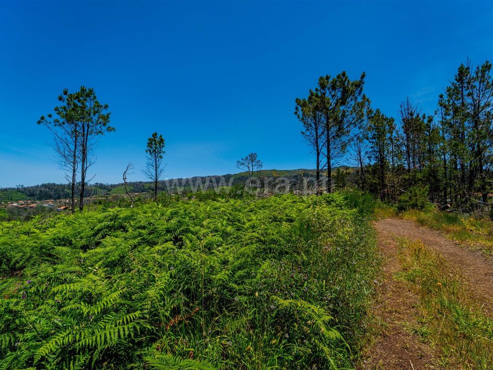 Działka: Calheta, Madeira – zdjęcie 4