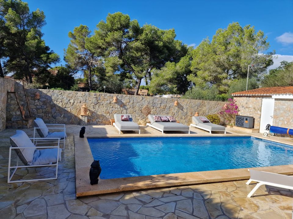 Villa in El Toro, Mallorca - photo 5
