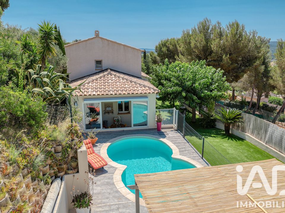 Villa i Bormes-les-Mimosas, Var - foto 1