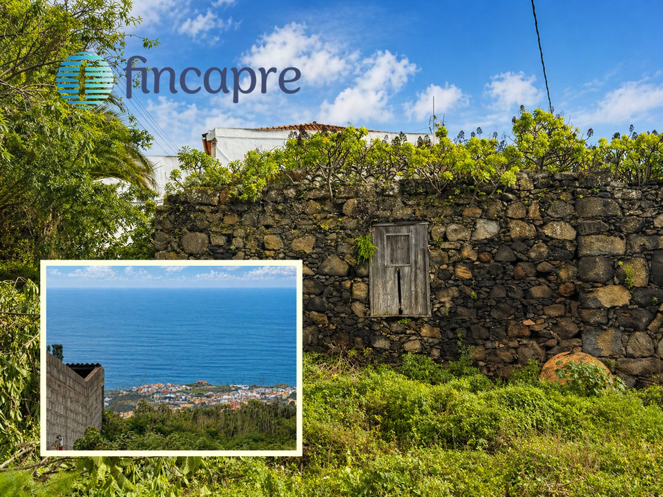 Ruin i Icod de los Vinos, Tenerife - bilde 1