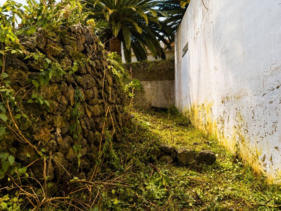 Ruin i Icod de los Vinos, Tenerife - bilde 2