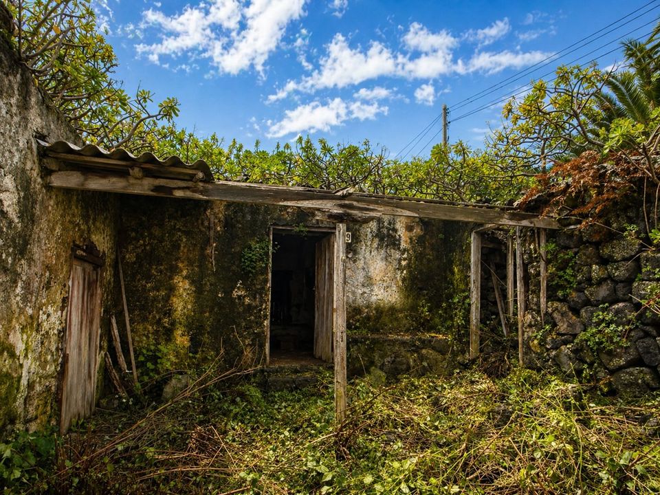 Ruin i Icod de los Vinos, Tenerife - bilde 4