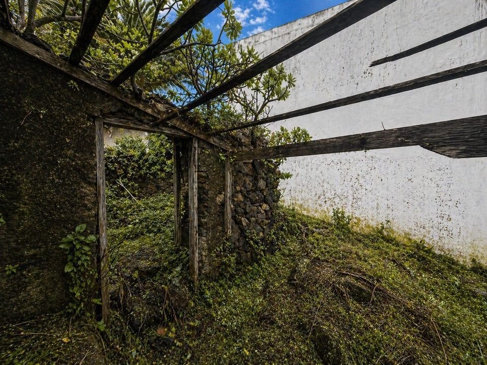 Ruin i Icod de los Vinos, Tenerife - bilde 5