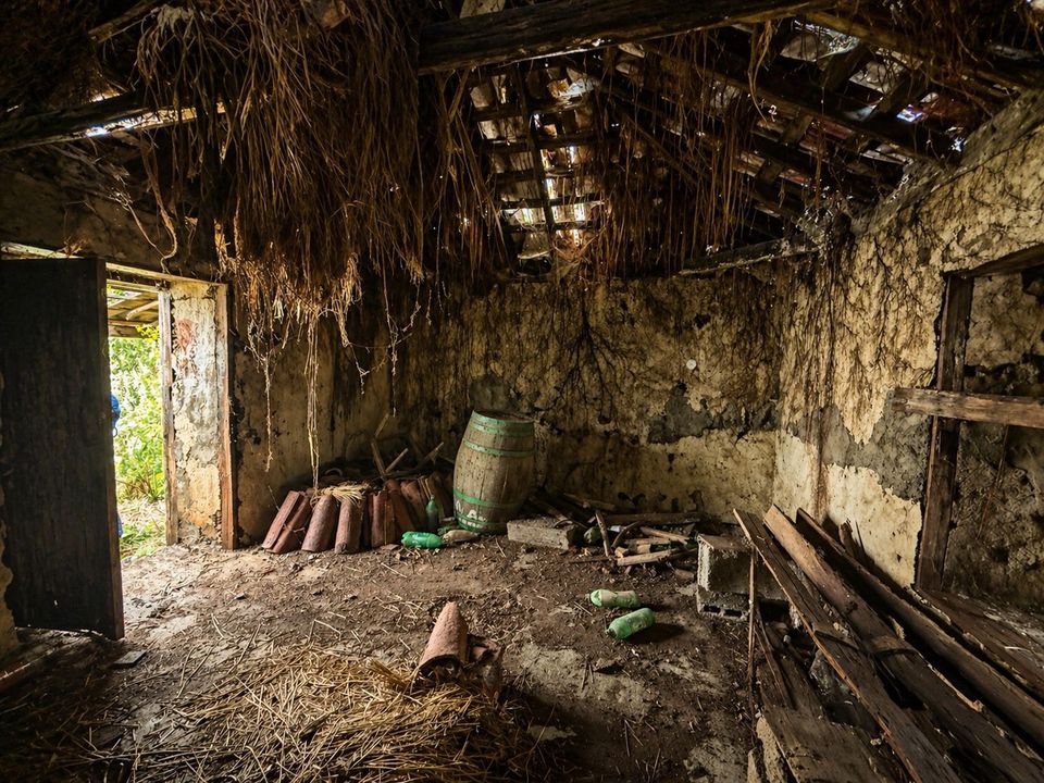 Ruin i Icod de los Vinos, Tenerife - bilde 3