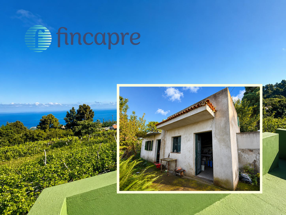 Finca i La Florida, Tenerife - foto 1