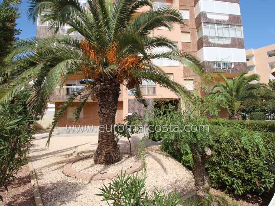 Lejlighed i La Mata, Alicante - foto 1