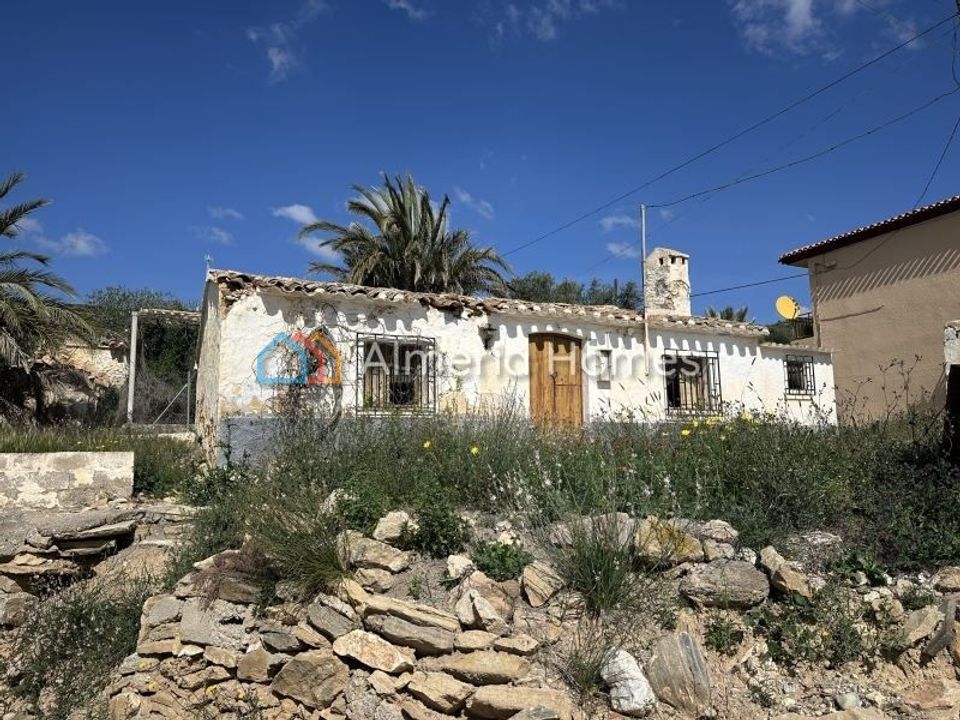 Landejendom i Los Gallardos, Almeria - foto 1