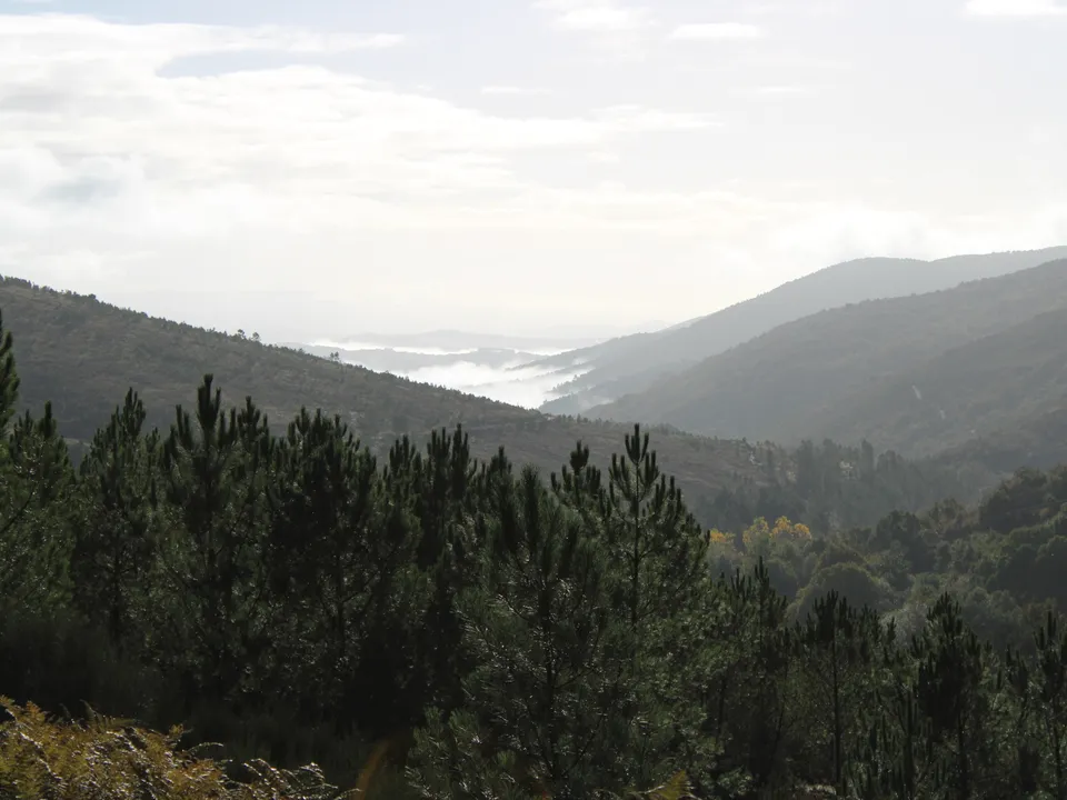 Landejendom i Chaves, Vila Real - foto 3