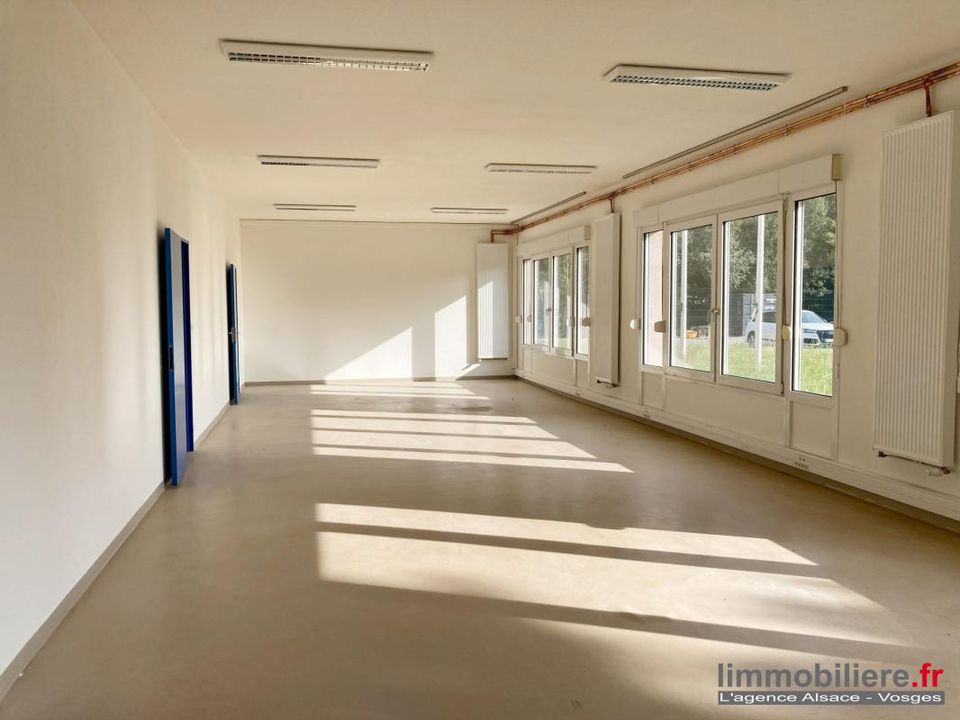 L'establiment comercial a Sainte-Marie-aux-Mines, Haut-Rhin - foto 1