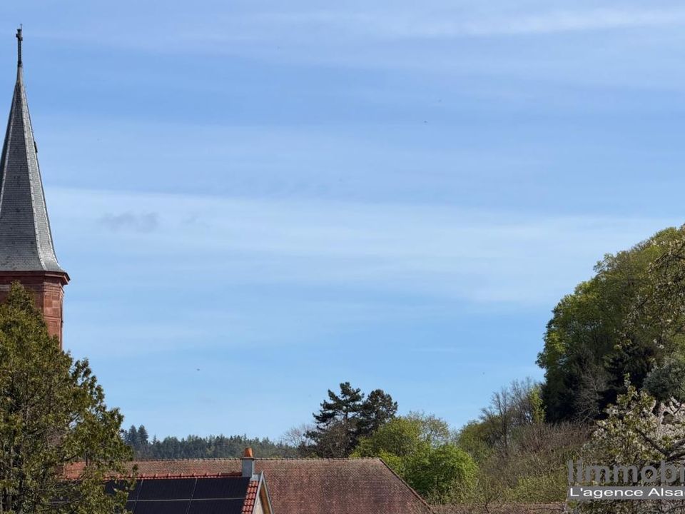 Villa a Sainte-Marie-aux-Mines, Haut-Rhin - foto 3