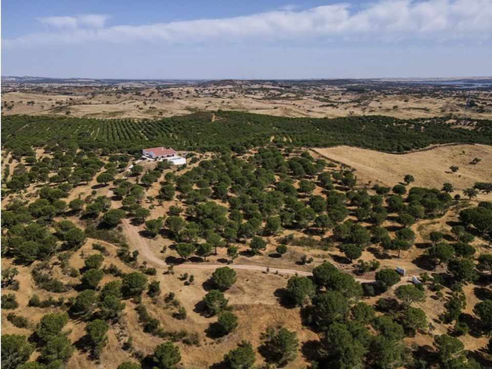 Farm i Ourique, Beja - foto 3