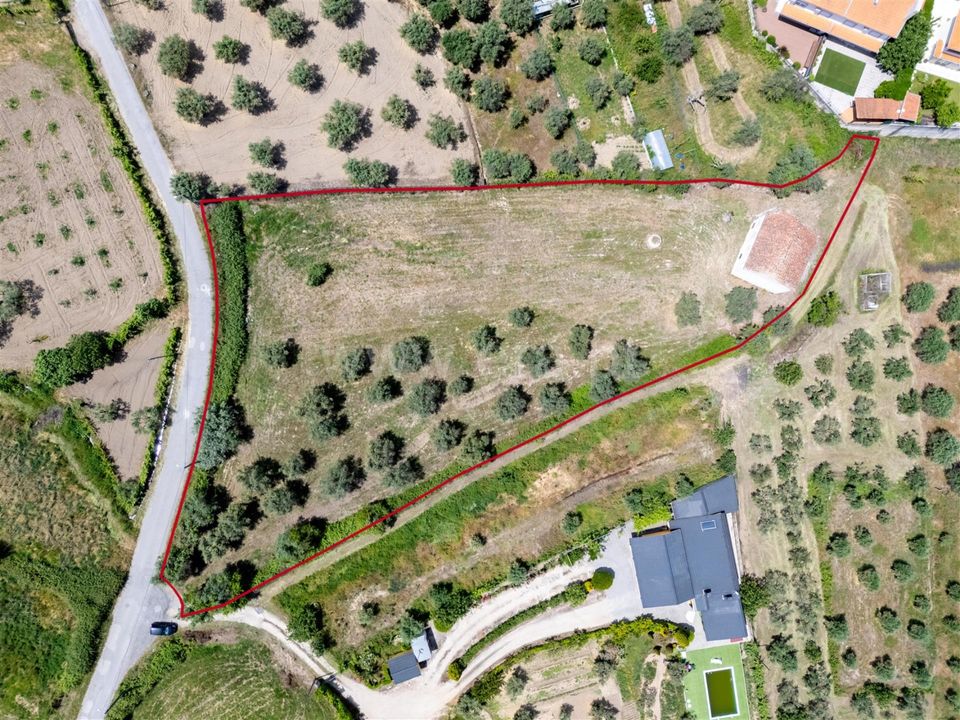 Landejendom i Covilha, Castelo Branco - foto 5