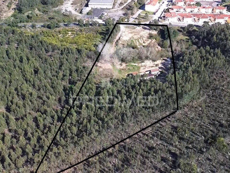 Helårsgrund i Rio Maior, Santarem - foto 3