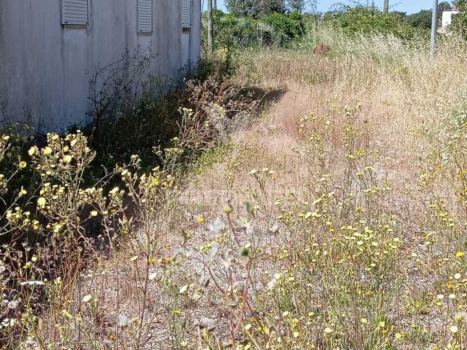Byhus i Portalegre, Portalegre - foto 4