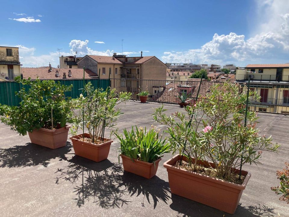 Lejlighed i Mantua, Mantua - foto 1
