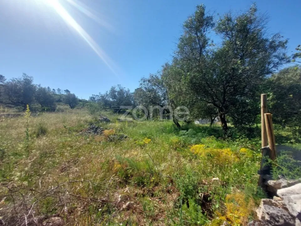 Helårsgrund i Batalha, Leiria - foto 2