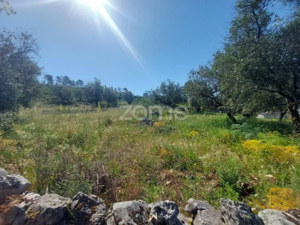 Helårsgrund i Batalha, Leiria - foto 3