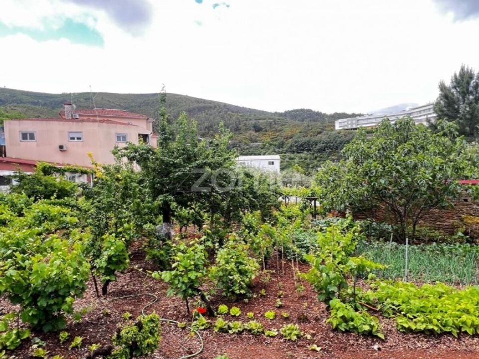 Helårsgrund i Pampilhosa da serra, Coimbra - foto 2