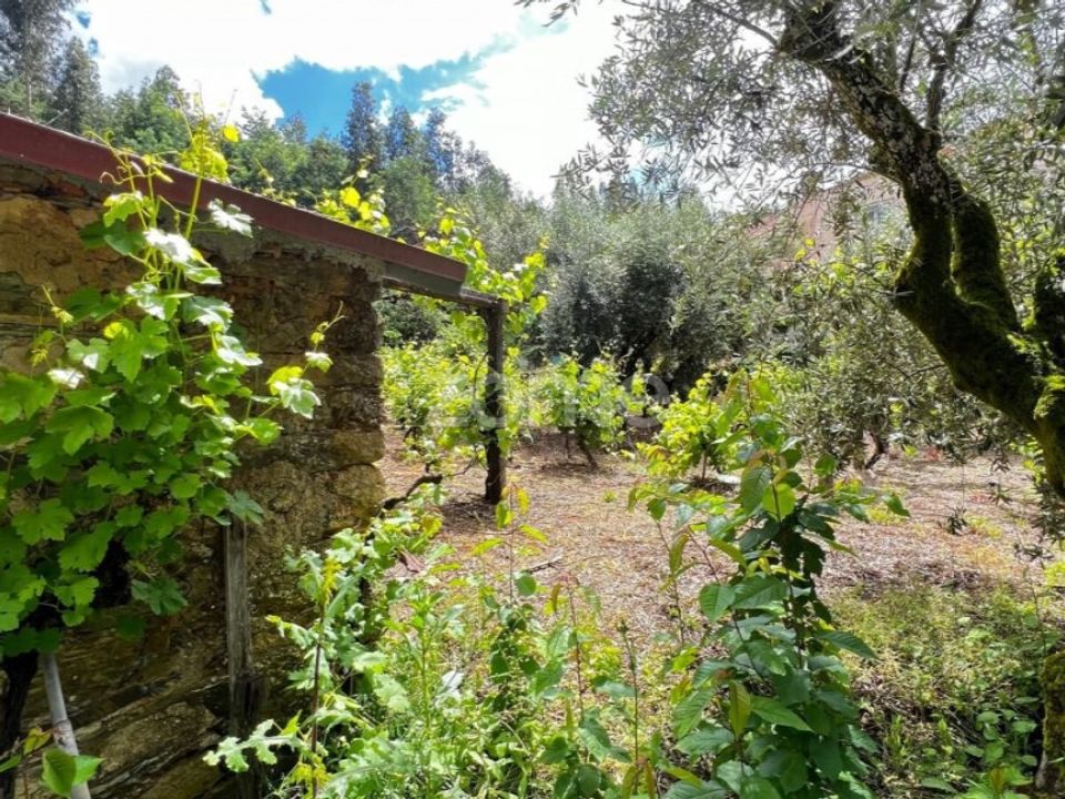 Helårsgrund i Pampilhosa da serra, Coimbra - foto 5