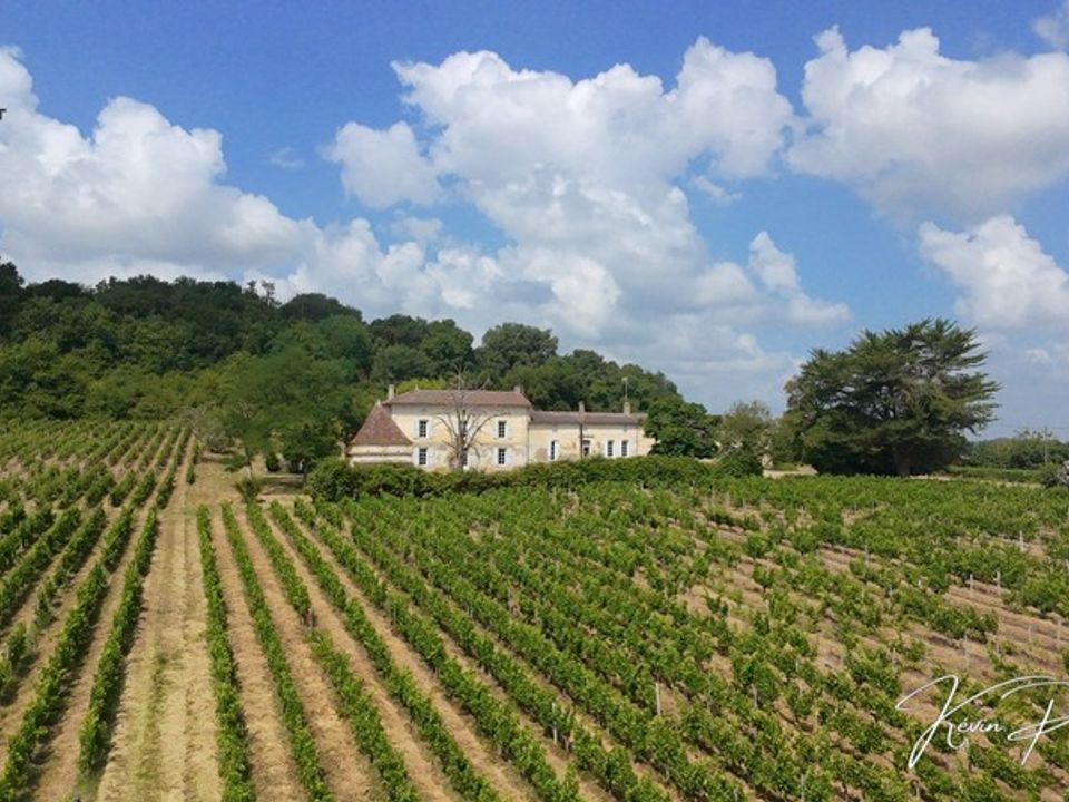 Landejendom i Moulon, Gironde - foto 1