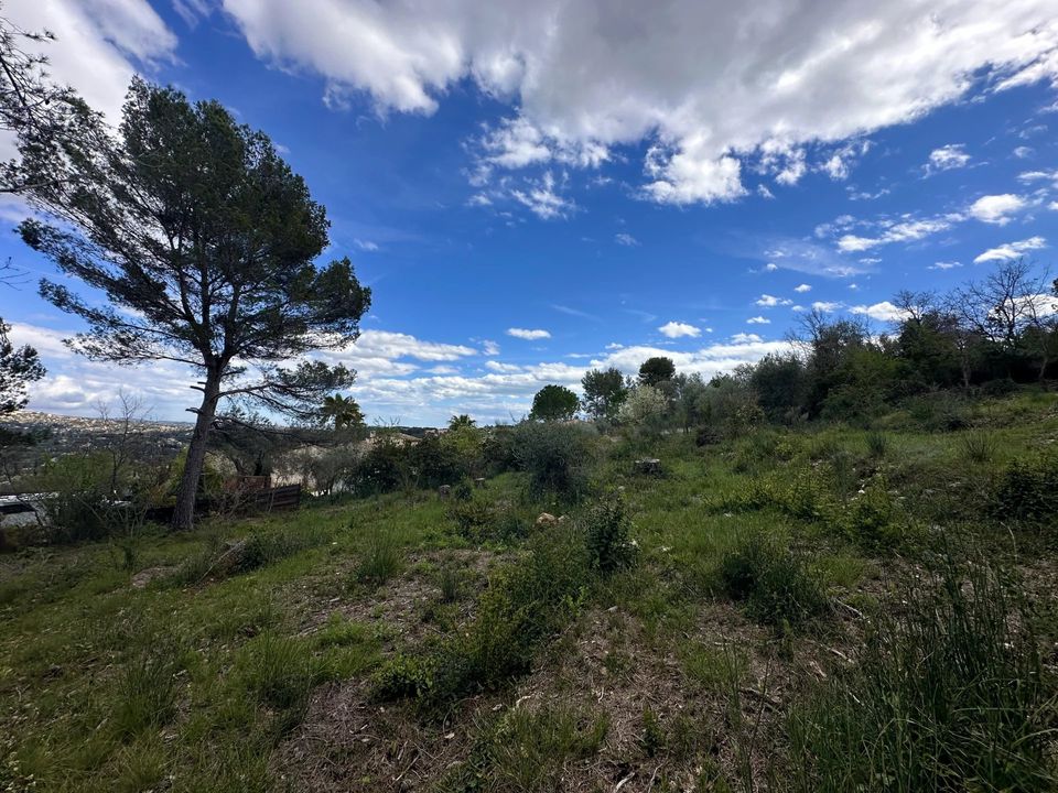 Helårsgrund i Peymeinade, Alpes-Maritimes - foto 3