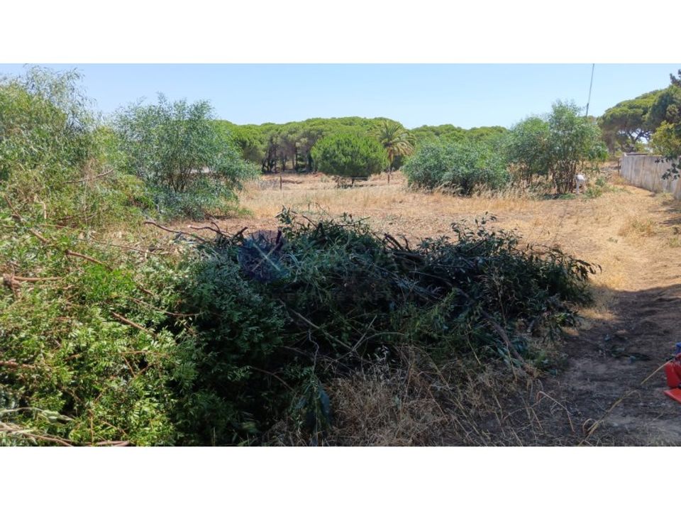 Helårsgrund i Albufeira, Faro - foto 4