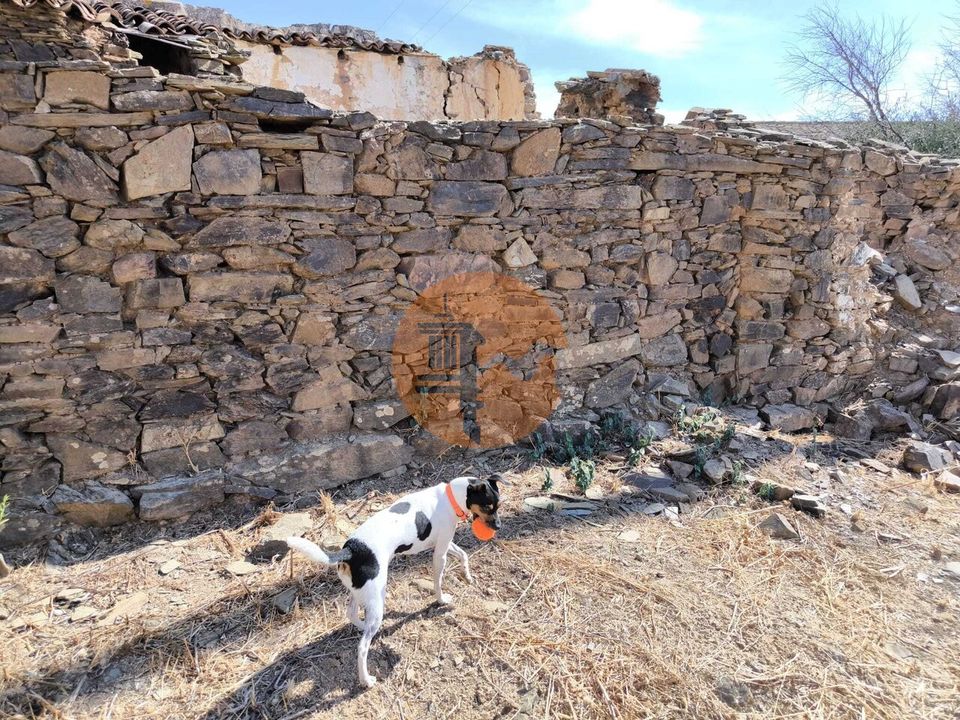 Villa i Conceicao e Cabanas de Tavira, Faro - foto 4