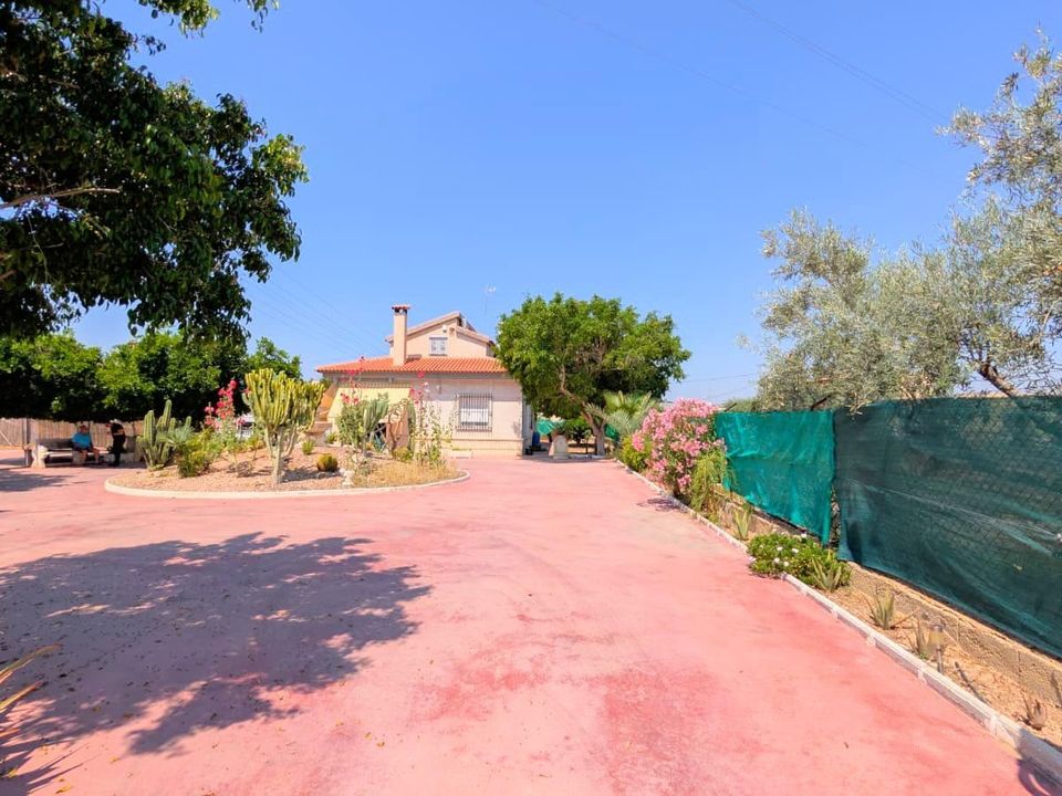 Villa - Elche, Alicante - photo 3