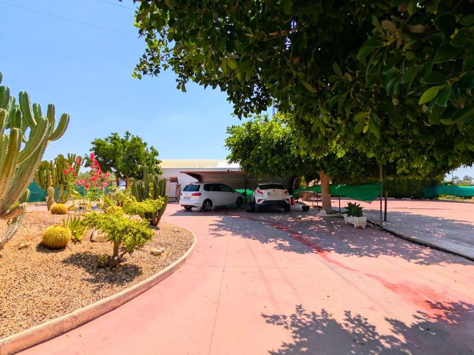 Villa - Elche, Alicante - photo 5