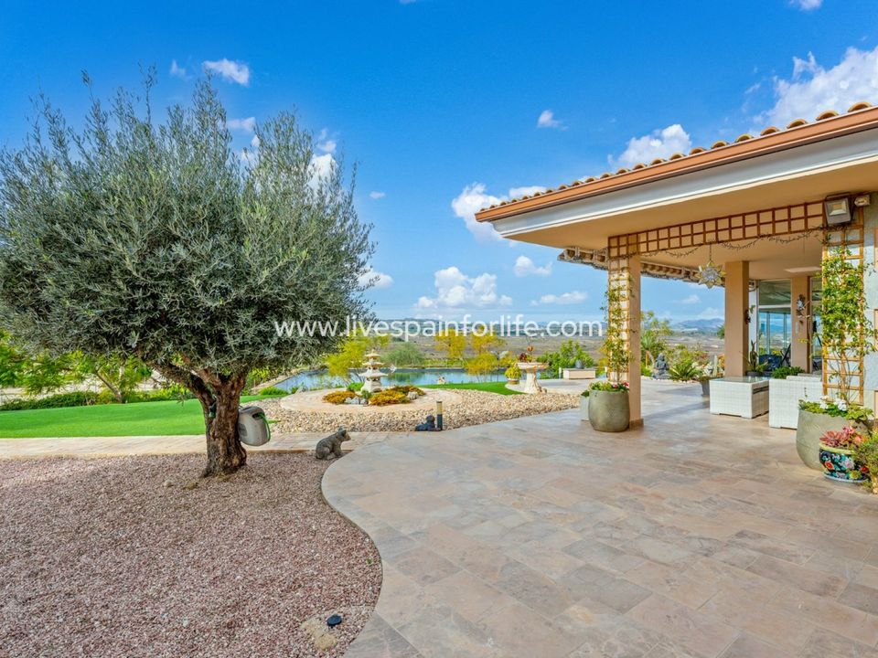 Farm i Torremendo, Alicante - foto 3