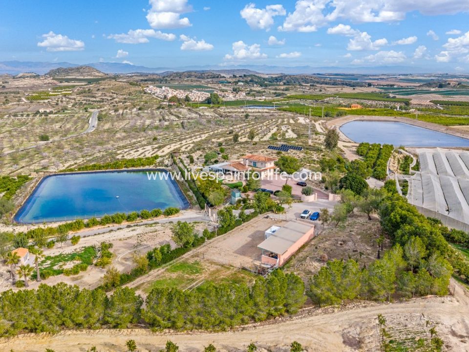 Farm i Torremendo, Alicante - foto 4