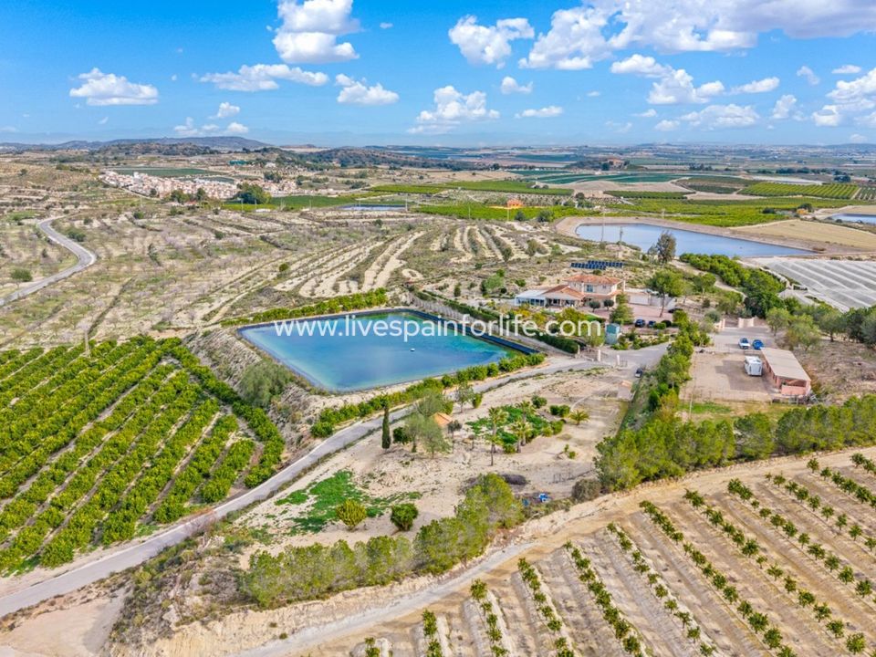 Farm i Torremendo, Alicante - foto 5