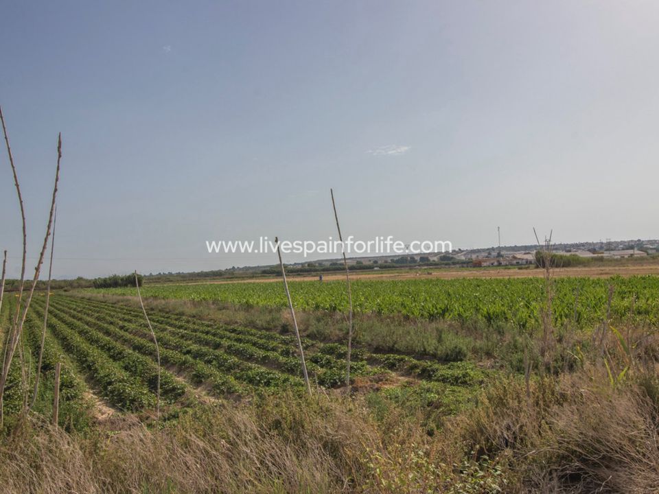 Helårsgrund i San Fulgencio, Alicante - foto 3