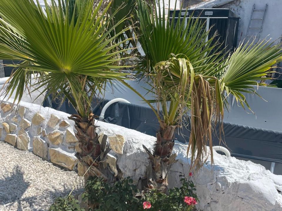 Landsbyhus i Canada Del Trigo, Alicante - bilde 2