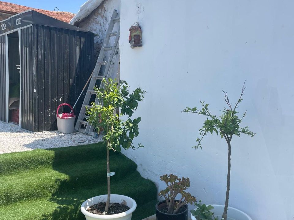 Landsbyhus i Canada Del Trigo, Alicante - bilde 5
