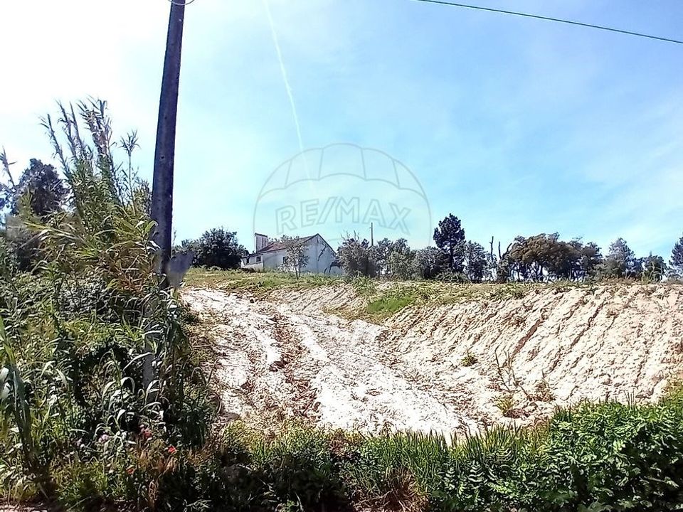 Farm hus i Coruche, Santarem - foto 2