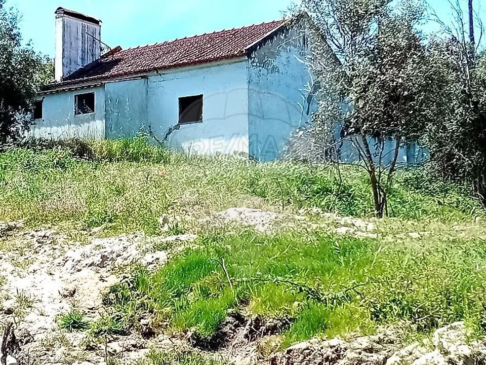 Farm hus i Coruche, Santarem - foto 3
