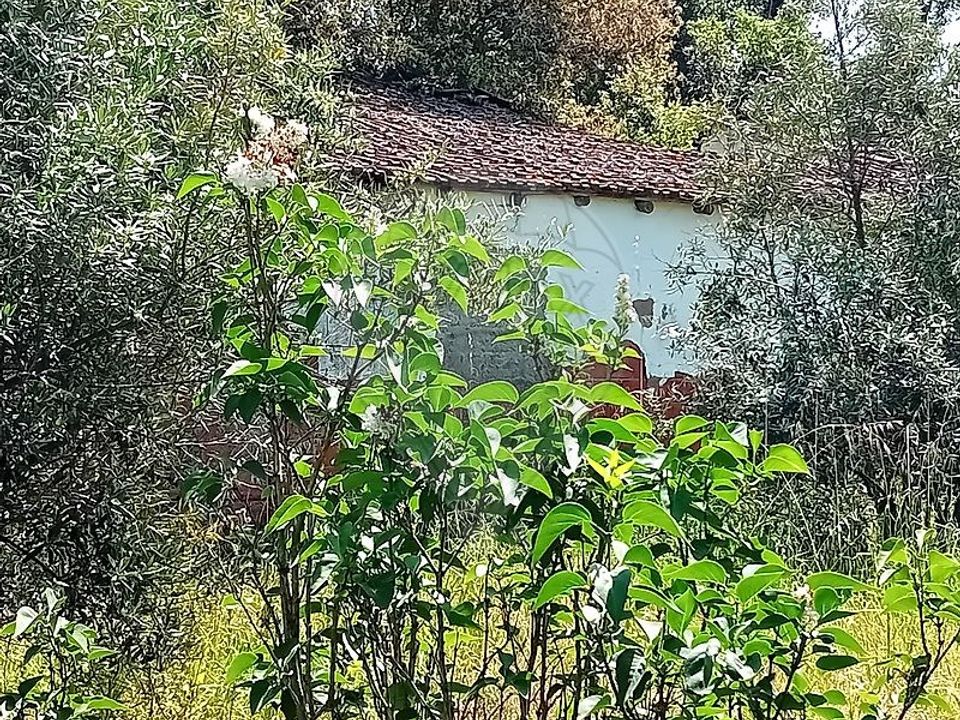 Farm hus i Coruche, Santarem - foto 4