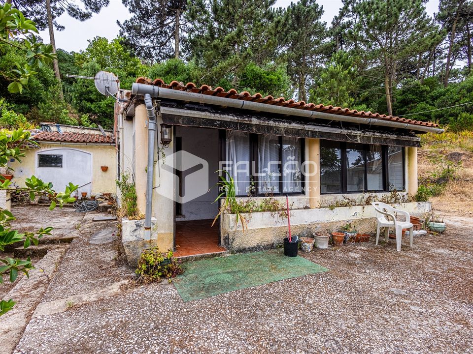 Villa i Sintra, Lisbon - bilde 1