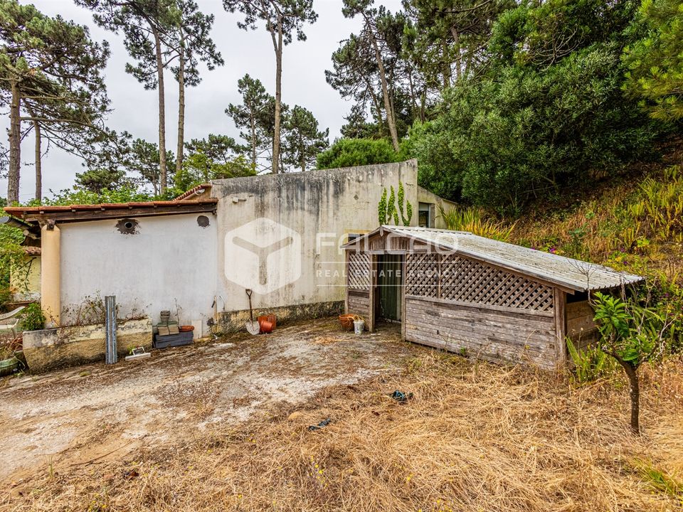 Villa i Sintra, Lisbon - bilde 3