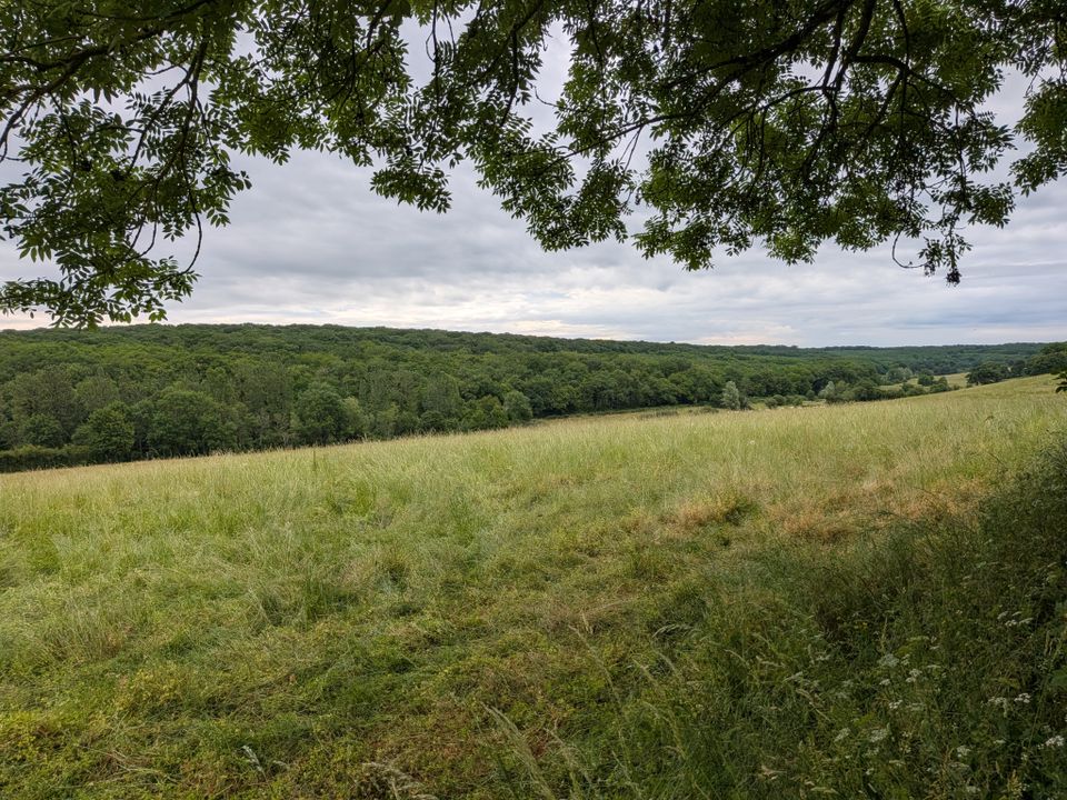 Dorpshuis in Tintury, Nievre - foto 4