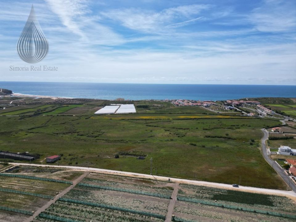 Farm i Torres Vedras, Lisbon - foto 4