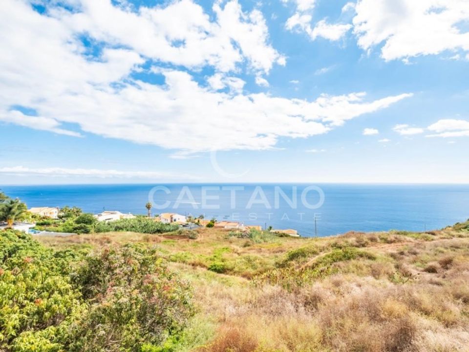 Erhvervsejendom i Arco da Calheta, Madeira - foto 2