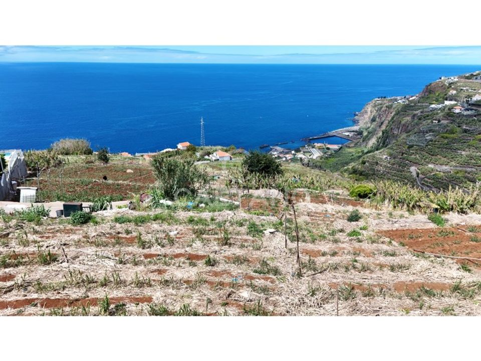 Helårsgrund i Ribeira Brava, Madeira - foto 2