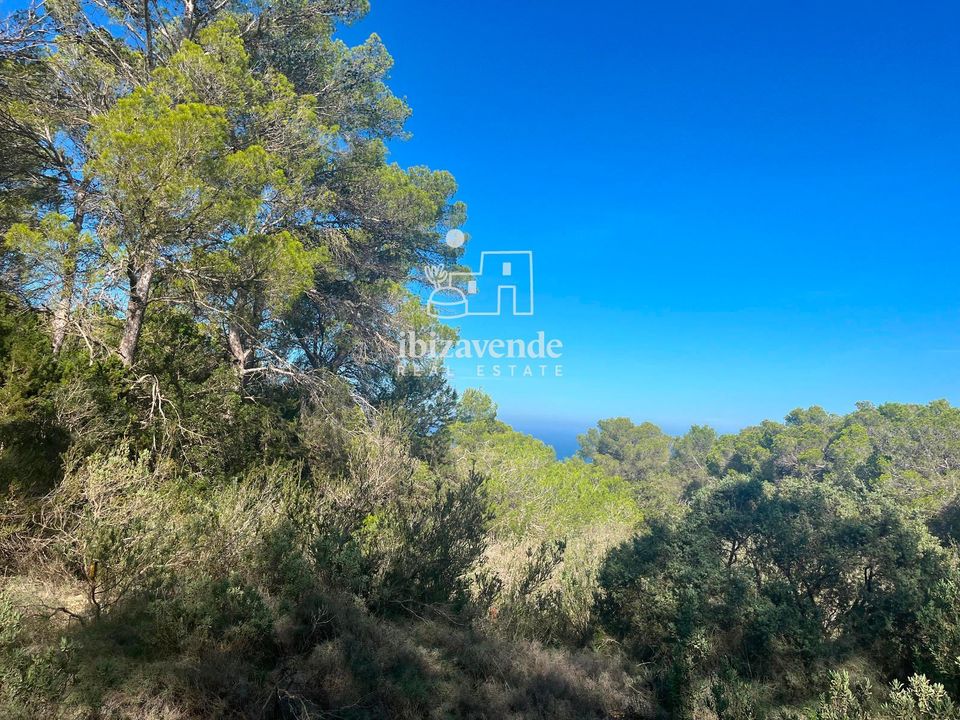 Finca i Sant Josep de sa Talaia, Ibiza - foto 1