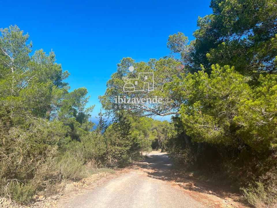Finca i Sant Josep de sa Talaia, Ibiza - foto 2